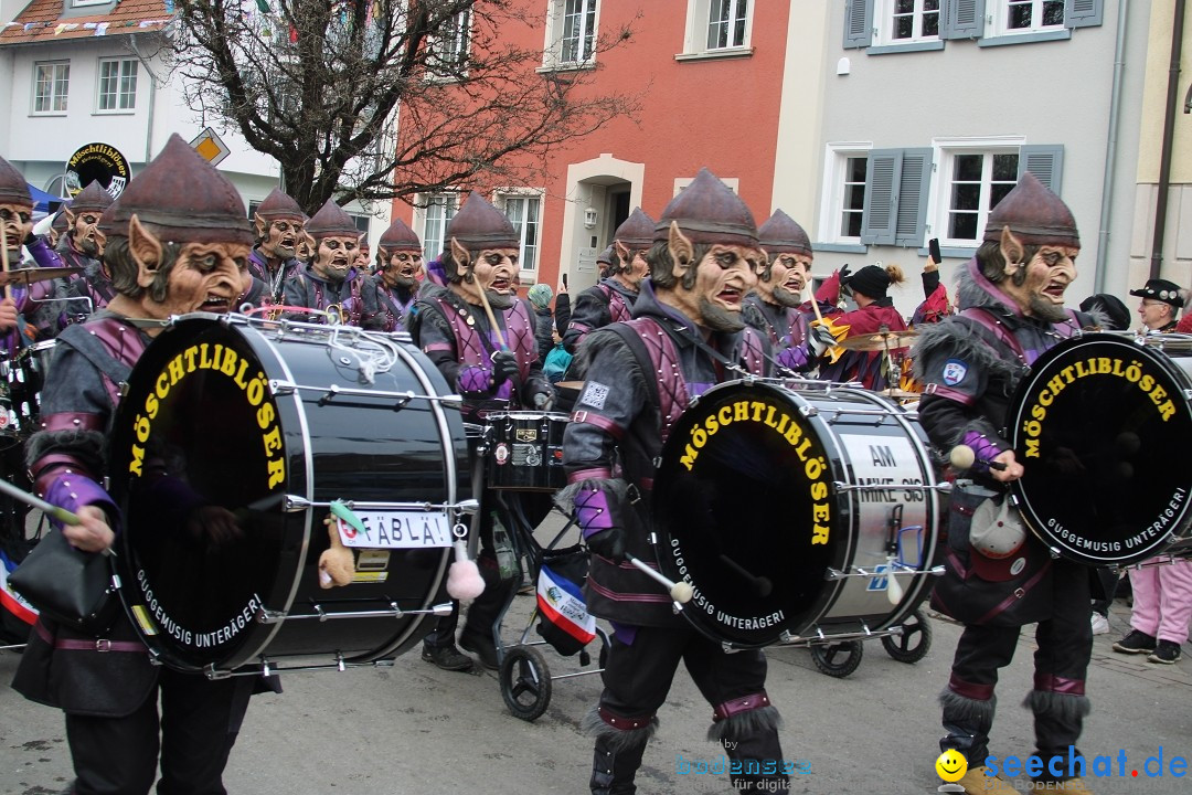 Fasnetsumzug - Weltverkehrsstadt: Tettnang am Bodensee, 29.01.2023