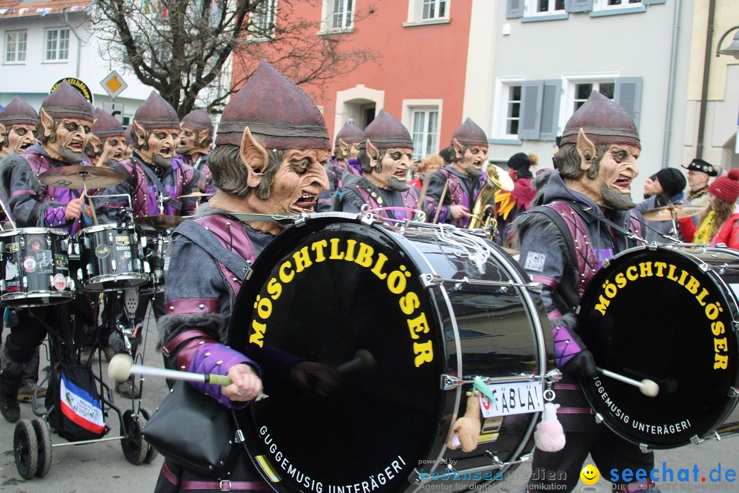 Fasnetsumzug - Weltverkehrsstadt: Tettnang am Bodensee, 29.01.2023