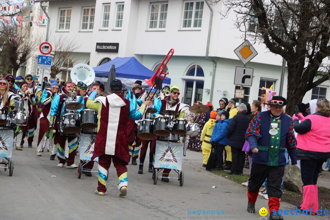 Fasnetsumzug - Weltverkehrsstadt: Tettnang am Bodensee, 29.01.2023