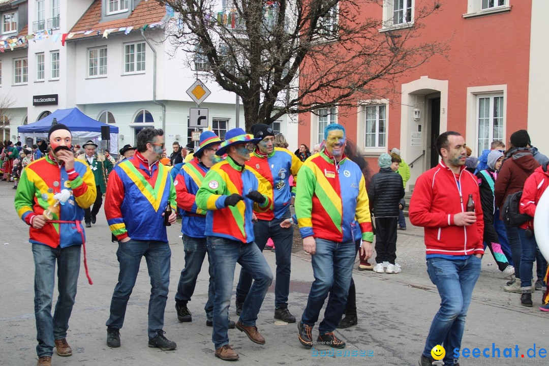 Fasnetsumzug - Weltverkehrsstadt: Tettnang am Bodensee, 29.01.2023