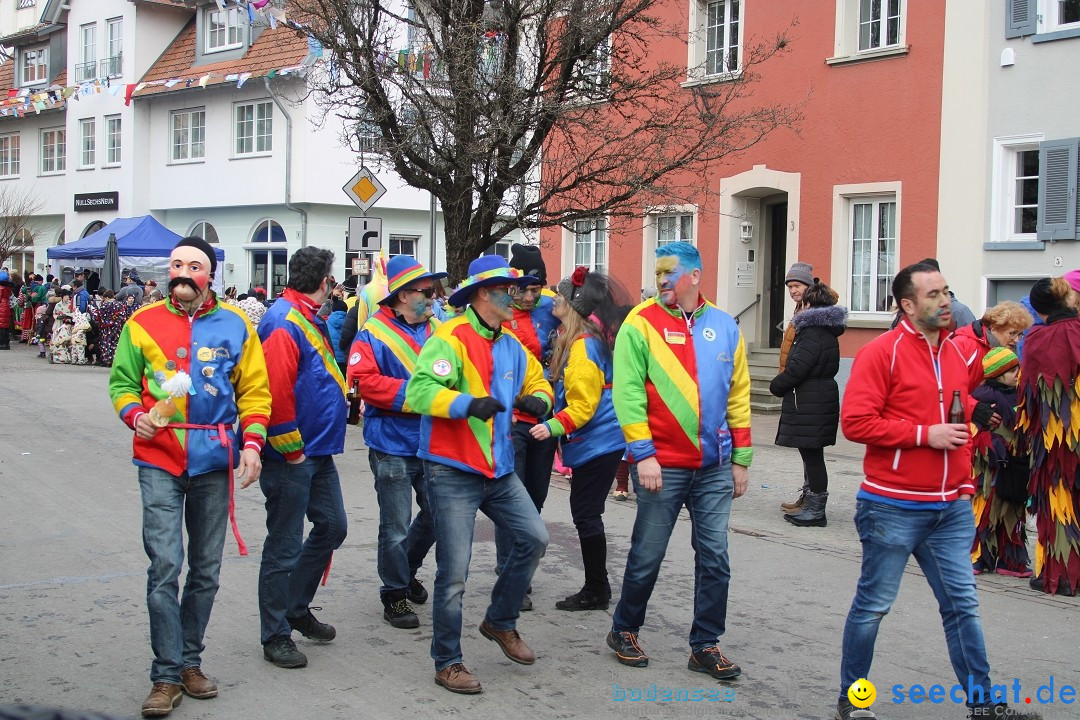 Fasnetsumzug - Weltverkehrsstadt: Tettnang am Bodensee, 29.01.2023