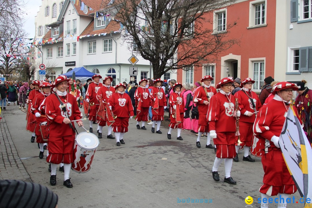 Fasnetsumzug - Weltverkehrsstadt: Tettnang am Bodensee, 29.01.2023