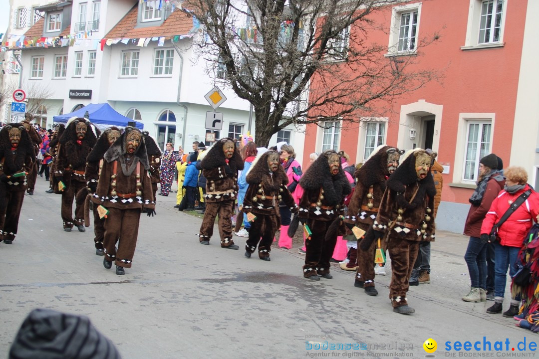 Fasnetsumzug - Weltverkehrsstadt: Tettnang am Bodensee, 29.01.2023