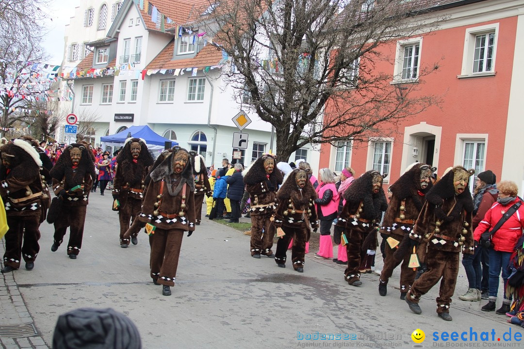 Fasnetsumzug - Weltverkehrsstadt: Tettnang am Bodensee, 29.01.2023