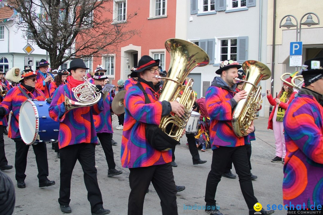 Fasnetsumzug - Weltverkehrsstadt: Tettnang am Bodensee, 29.01.2023