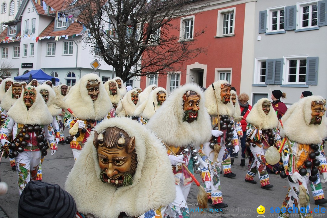 Fasnetsumzug - Weltverkehrsstadt: Tettnang am Bodensee, 29.01.2023