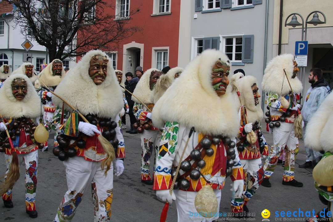 Fasnetsumzug - Weltverkehrsstadt: Tettnang am Bodensee, 29.01.2023