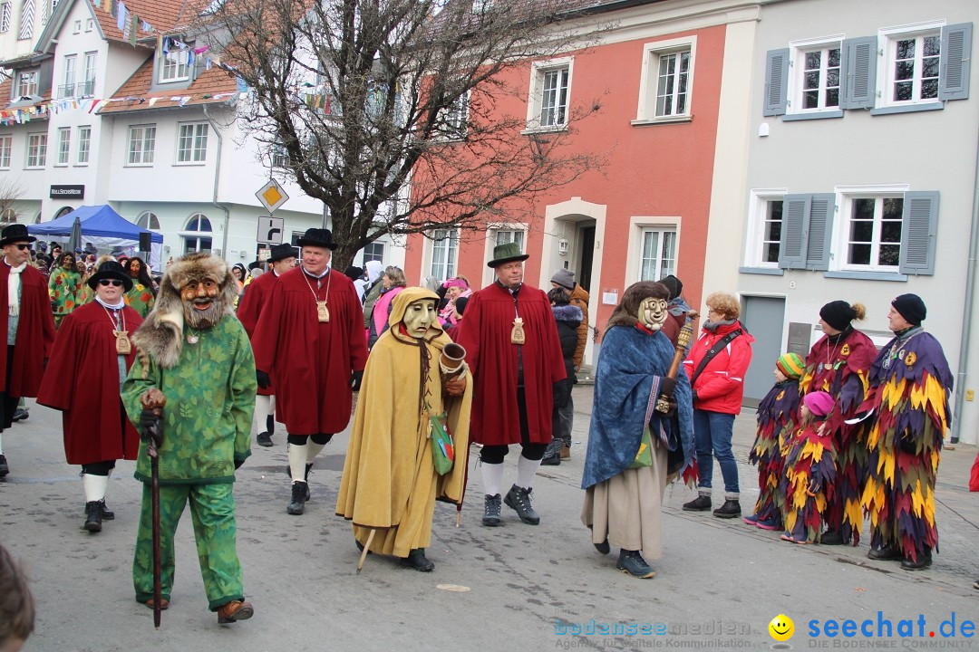 Fasnetsumzug - Weltverkehrsstadt: Tettnang am Bodensee, 29.01.2023