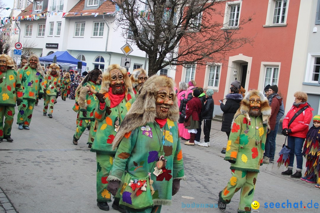 Fasnetsumzug - Weltverkehrsstadt: Tettnang am Bodensee, 29.01.2023