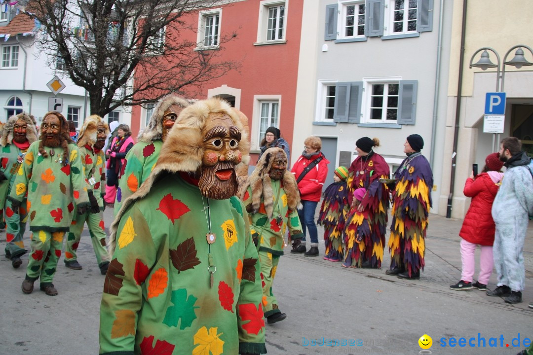 Fasnetsumzug - Weltverkehrsstadt: Tettnang am Bodensee, 29.01.2023