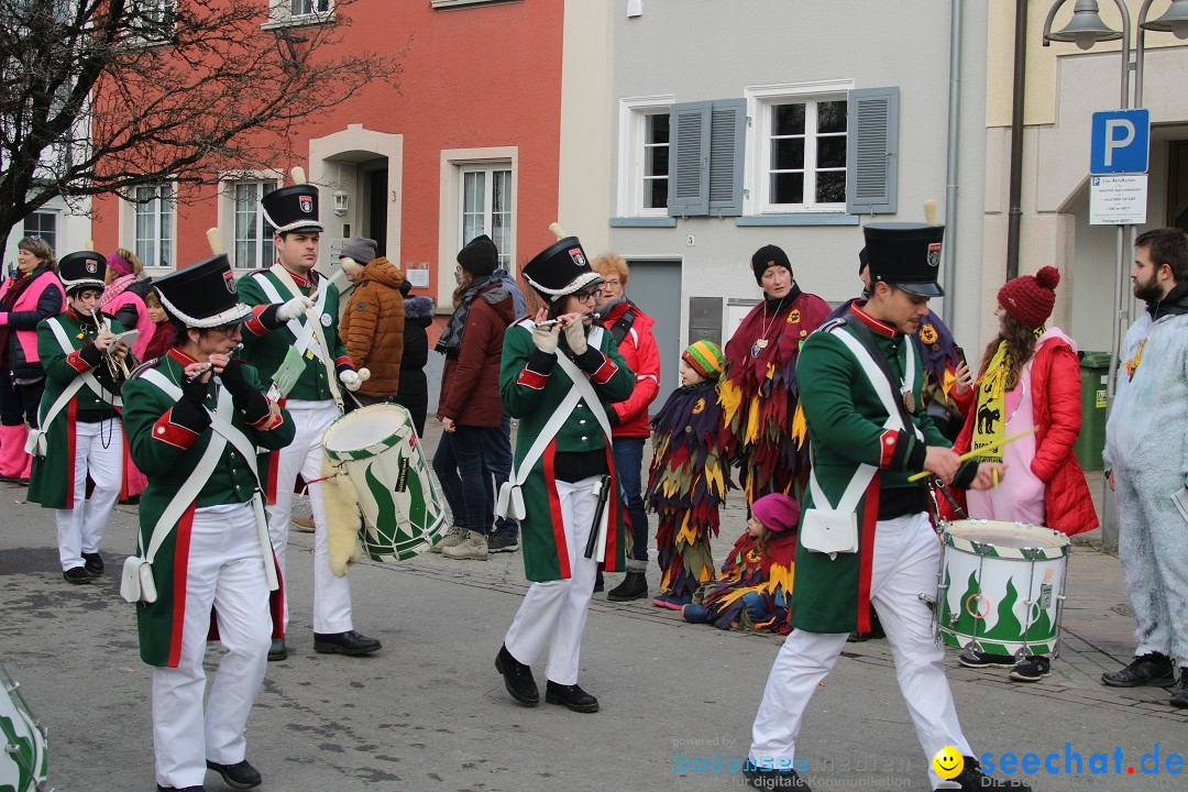 Fasnetsumzug - Weltverkehrsstadt: Tettnang am Bodensee, 29.01.2023