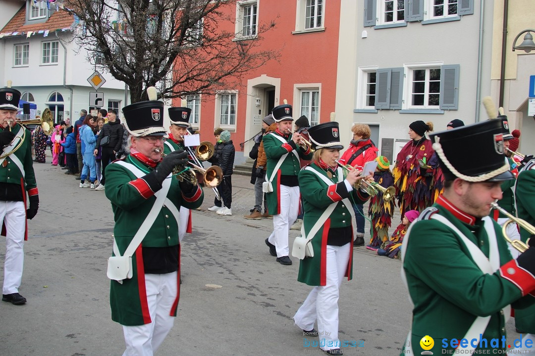 Fasnetsumzug - Weltverkehrsstadt: Tettnang am Bodensee, 29.01.2023