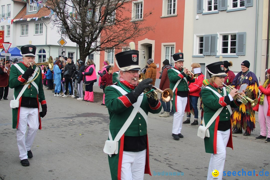 Fasnetsumzug - Weltverkehrsstadt: Tettnang am Bodensee, 29.01.2023