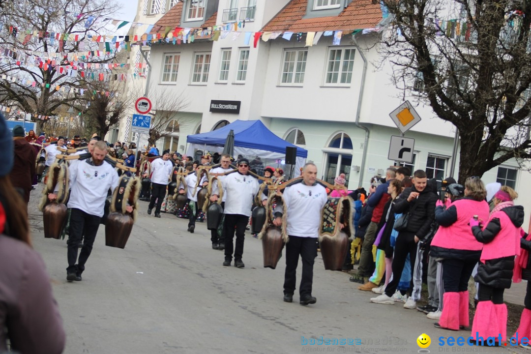 Fasnetsumzug - Weltverkehrsstadt: Tettnang am Bodensee, 29.01.2023