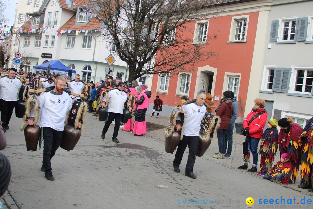 Fasnetsumzug - Weltverkehrsstadt: Tettnang am Bodensee, 29.01.2023