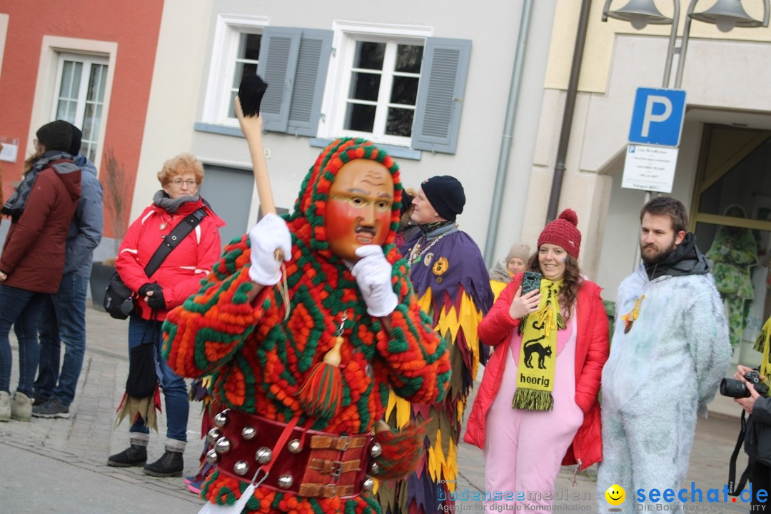 Fasnetsumzug - Weltverkehrsstadt: Tettnang am Bodensee, 29.01.2023