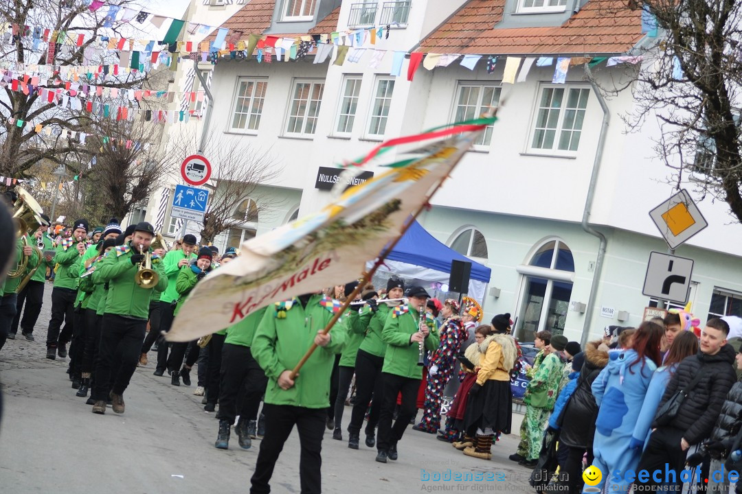 Fasnetsumzug - Weltverkehrsstadt: Tettnang am Bodensee, 29.01.2023