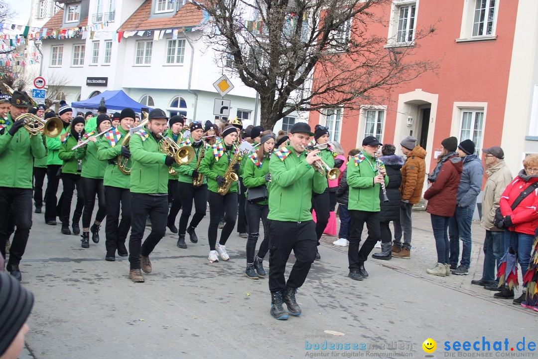 Fasnetsumzug - Weltverkehrsstadt: Tettnang am Bodensee, 29.01.2023