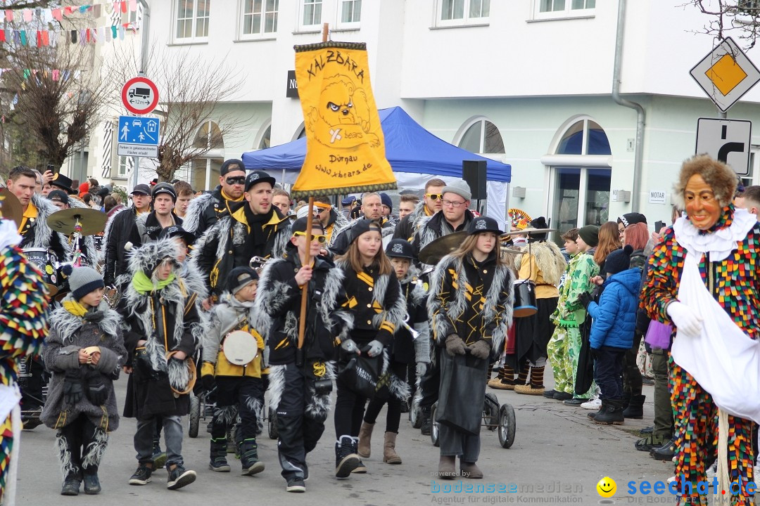 Fasnetsumzug - Weltverkehrsstadt: Tettnang am Bodensee, 29.01.2023