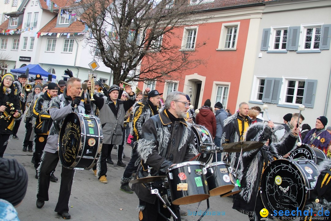 Fasnetsumzug - Weltverkehrsstadt: Tettnang am Bodensee, 29.01.2023