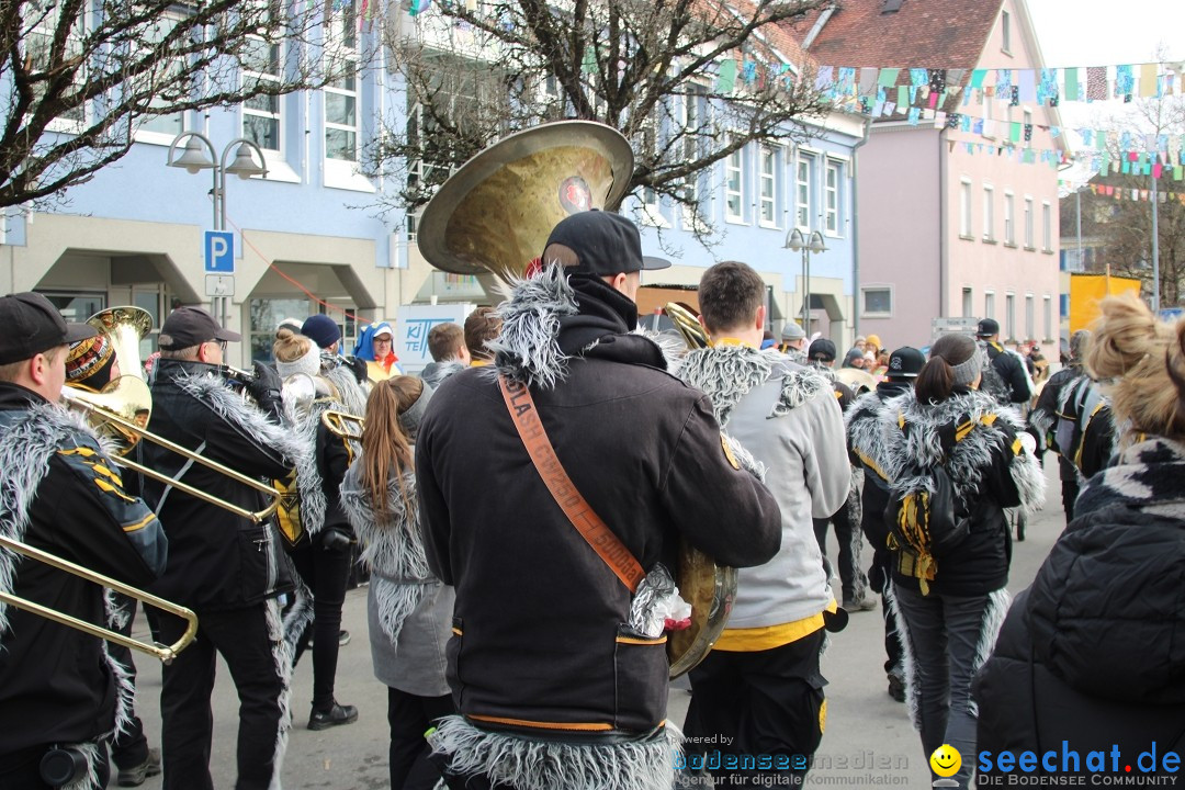 Fasnetsumzug - Weltverkehrsstadt: Tettnang am Bodensee, 29.01.2023