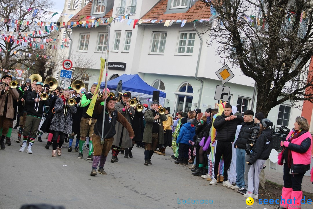 Fasnetsumzug - Weltverkehrsstadt: Tettnang am Bodensee, 29.01.2023