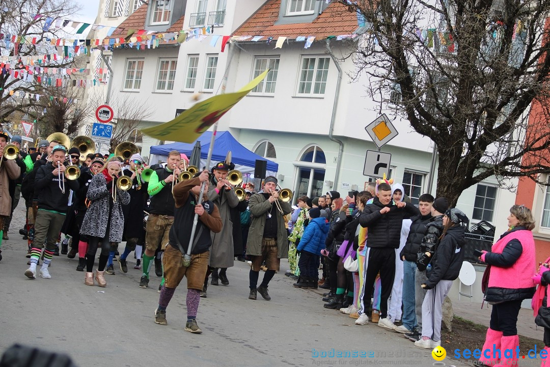 Fasnetsumzug - Weltverkehrsstadt: Tettnang am Bodensee, 29.01.2023