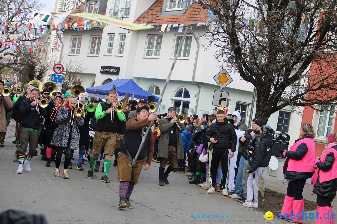 Fasnetsumzug - Weltverkehrsstadt: Tettnang am Bodensee, 29.01.2023