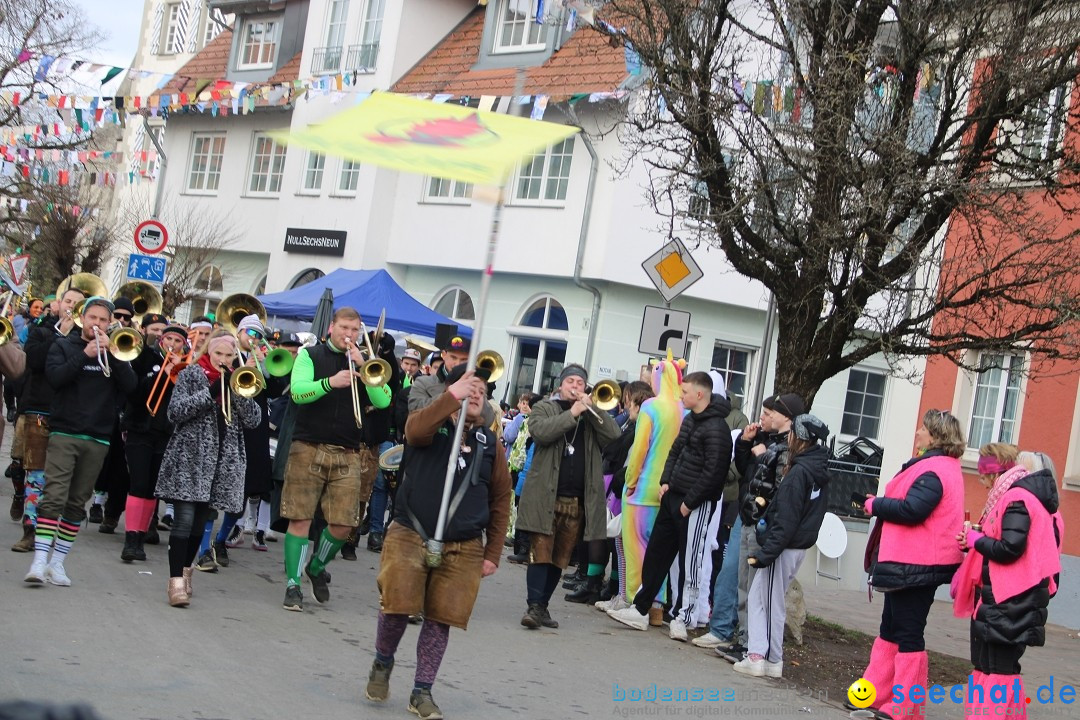 Fasnetsumzug - Weltverkehrsstadt: Tettnang am Bodensee, 29.01.2023