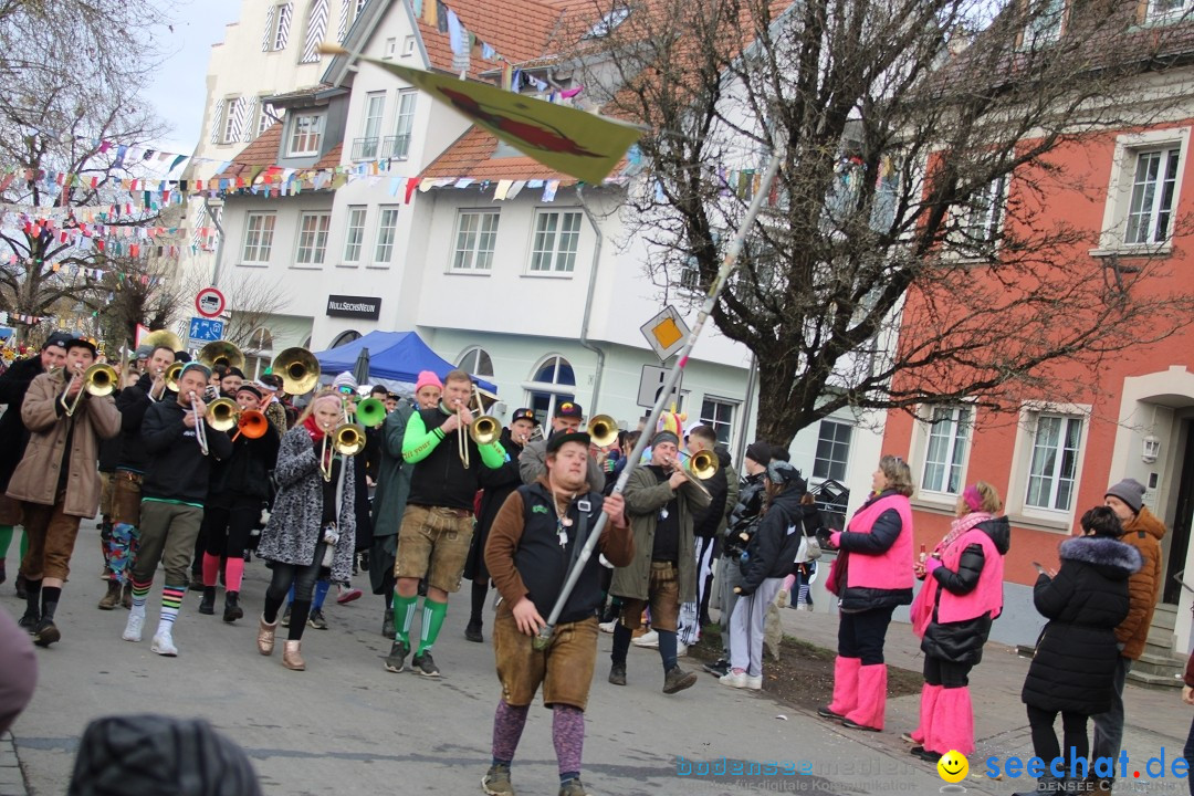 Fasnetsumzug - Weltverkehrsstadt: Tettnang am Bodensee, 29.01.2023