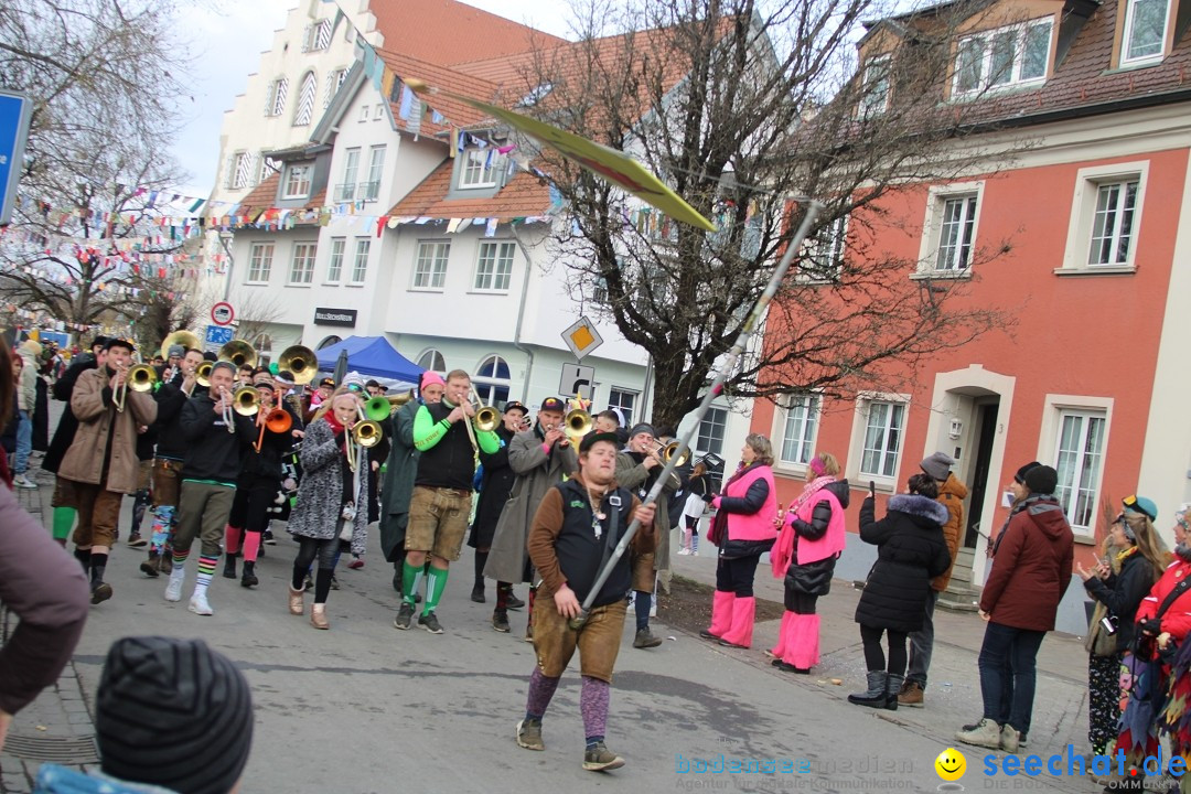 Fasnetsumzug - Weltverkehrsstadt: Tettnang am Bodensee, 29.01.2023