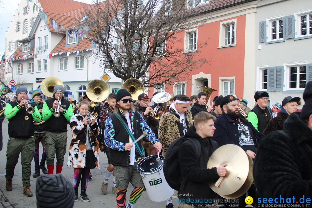 Fasnetsumzug - Weltverkehrsstadt: Tettnang am Bodensee, 29.01.2023