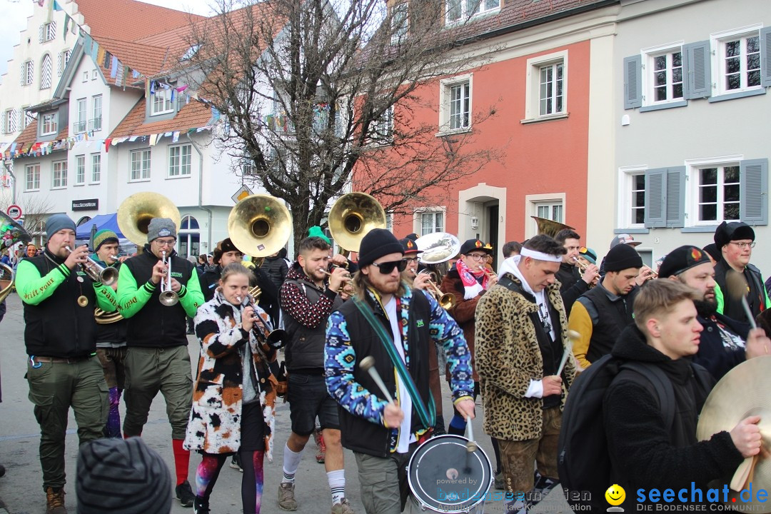 Fasnetsumzug - Weltverkehrsstadt: Tettnang am Bodensee, 29.01.2023