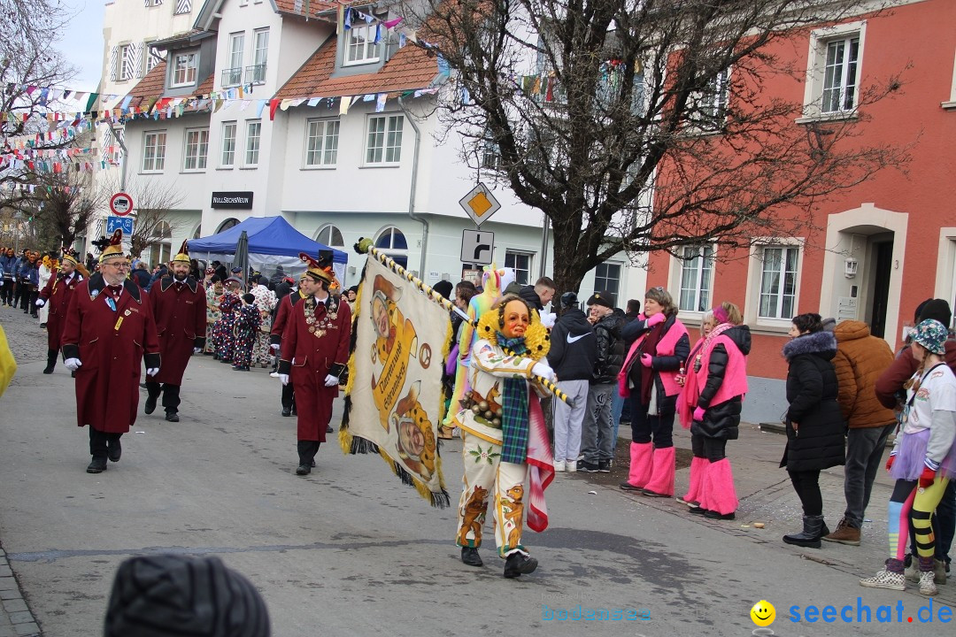 Fasnetsumzug - Weltverkehrsstadt: Tettnang am Bodensee, 29.01.2023