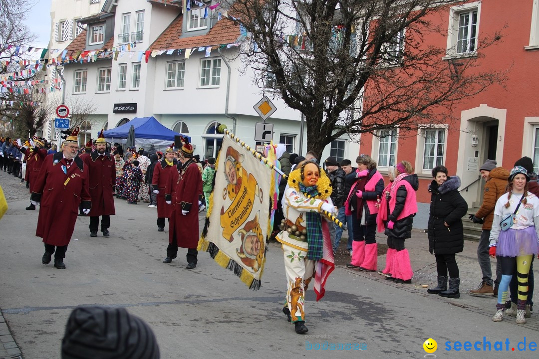 Fasnetsumzug - Weltverkehrsstadt: Tettnang am Bodensee, 29.01.2023