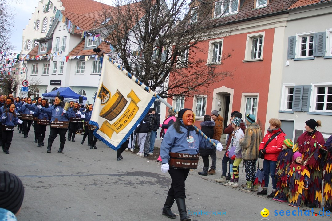 Fasnetsumzug - Weltverkehrsstadt: Tettnang am Bodensee, 29.01.2023