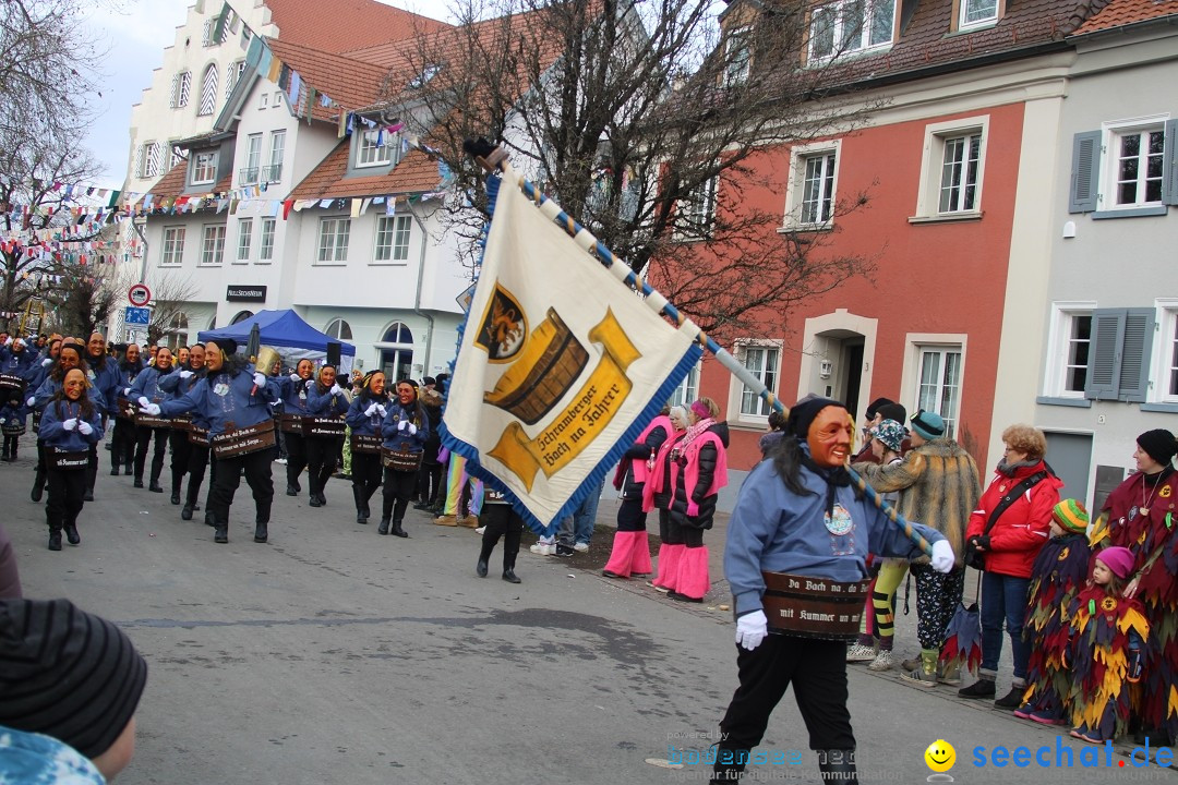 Fasnetsumzug - Weltverkehrsstadt: Tettnang am Bodensee, 29.01.2023