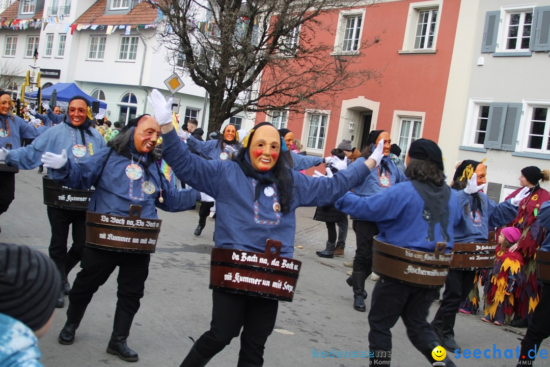 Fasnetsumzug - Weltverkehrsstadt: Tettnang am Bodensee, 29.01.2023