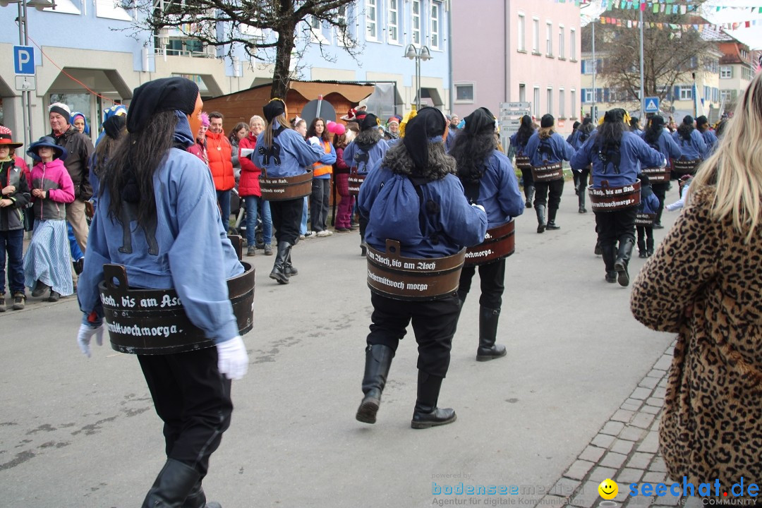 Fasnetsumzug - Weltverkehrsstadt: Tettnang am Bodensee, 29.01.2023