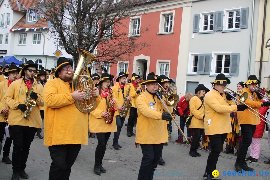 Fasnetsumzug - Weltverkehrsstadt: Tettnang am Bodensee, 29.01.2023