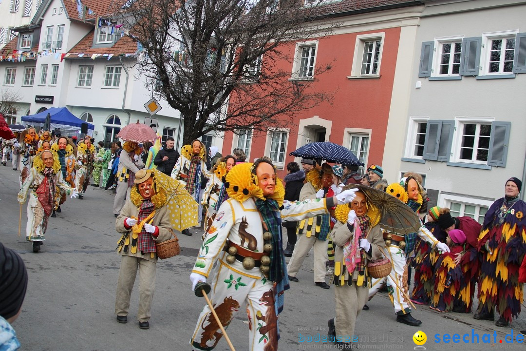 Fasnetsumzug - Weltverkehrsstadt: Tettnang am Bodensee, 29.01.2023