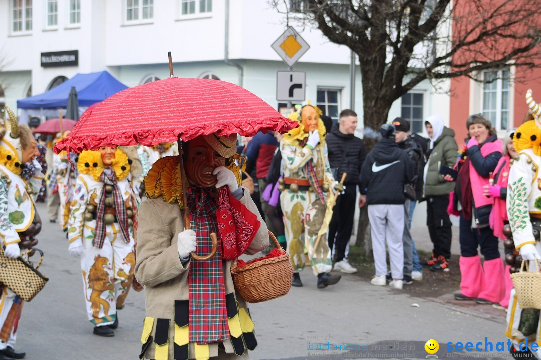 Fasnetsumzug - Weltverkehrsstadt: Tettnang am Bodensee, 29.01.2023