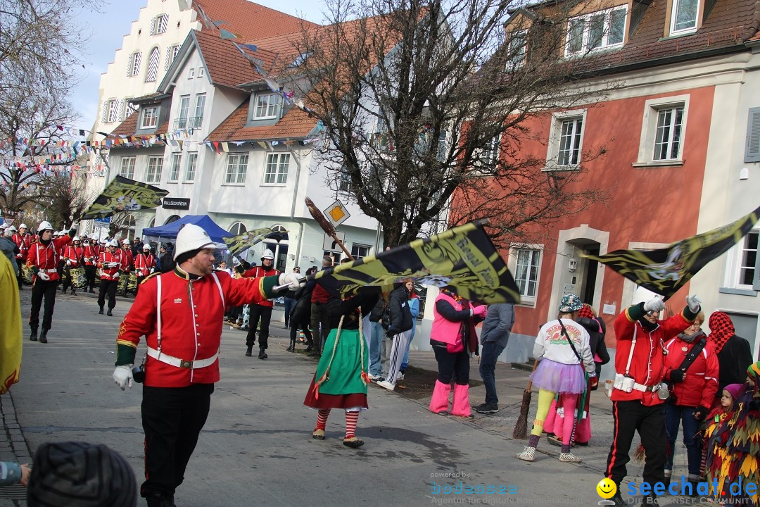 Fasnetsumzug - Weltverkehrsstadt: Tettnang am Bodensee, 29.01.2023