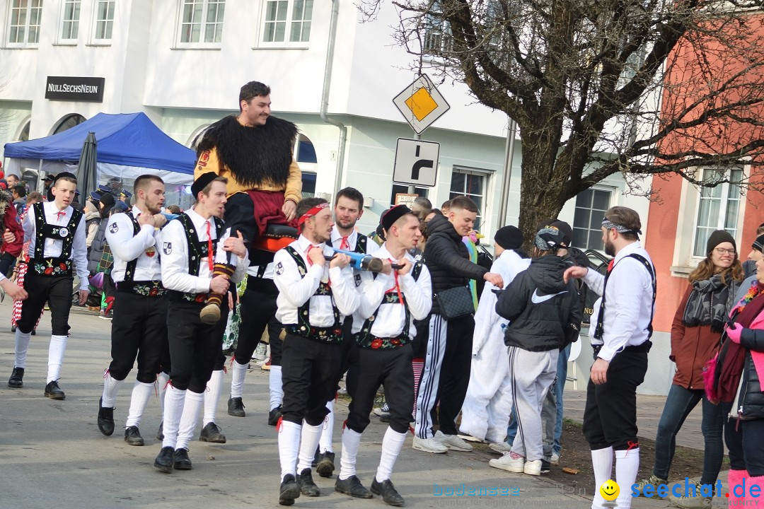 Fasnetsumzug - Weltverkehrsstadt: Tettnang am Bodensee, 29.01.2023