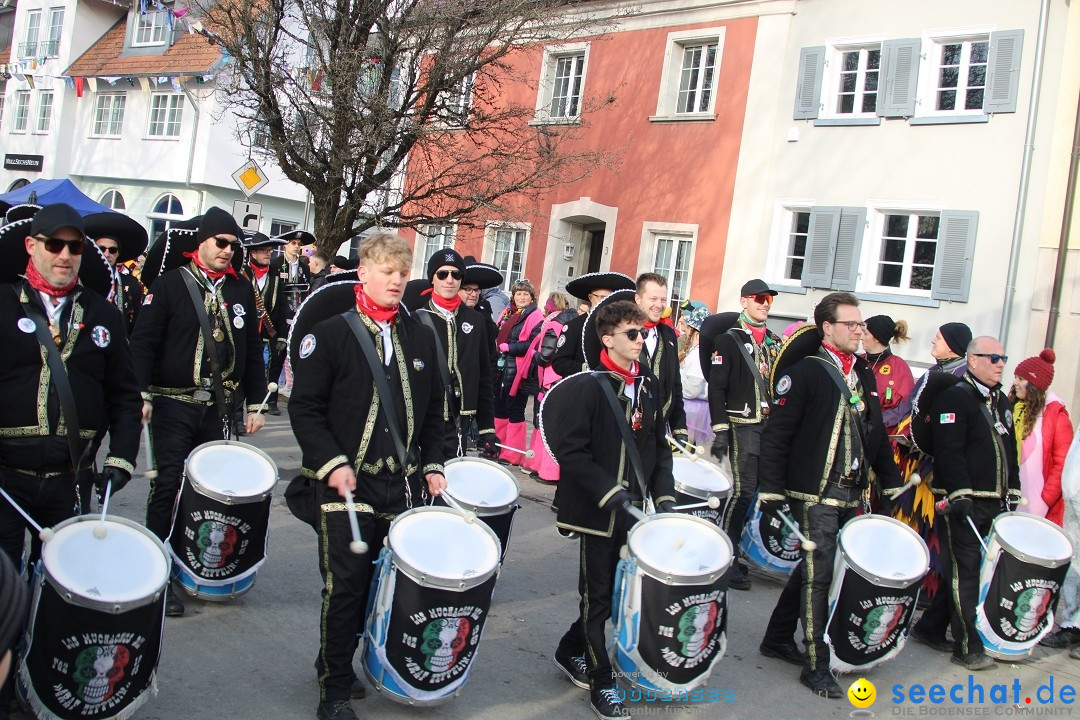 Fasnetsumzug - Weltverkehrsstadt: Tettnang am Bodensee, 29.01.2023