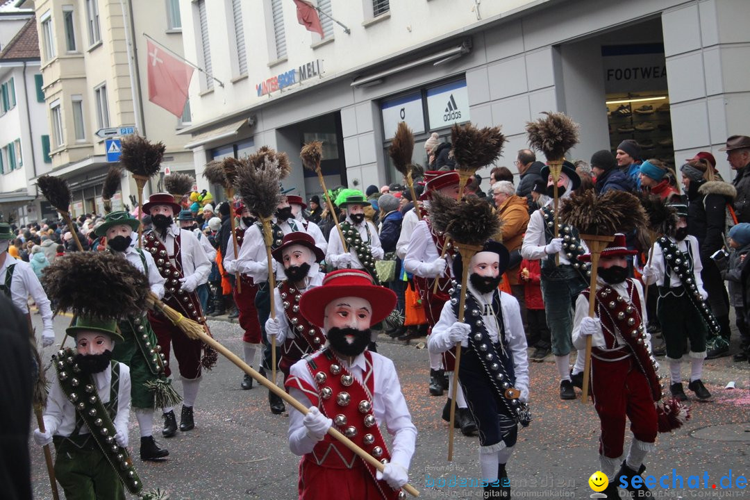 Fasnetsumzug - Schwyz am Bodensee, 29.01.2023