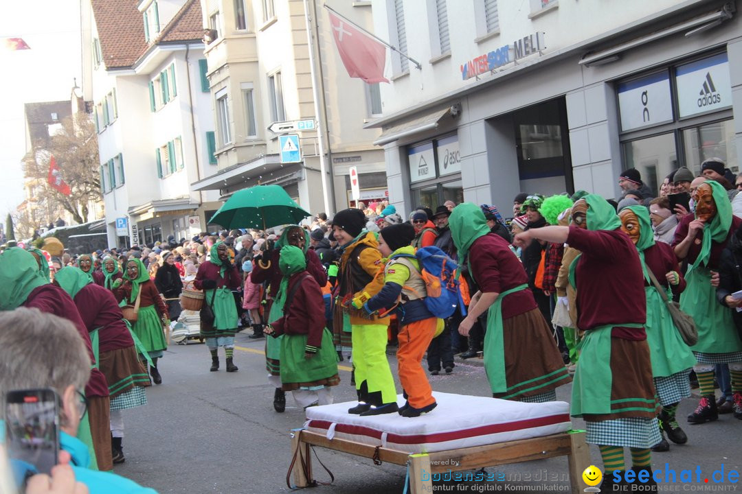 Fasnetsumzug - Schwyz am Bodensee, 29.01.2023