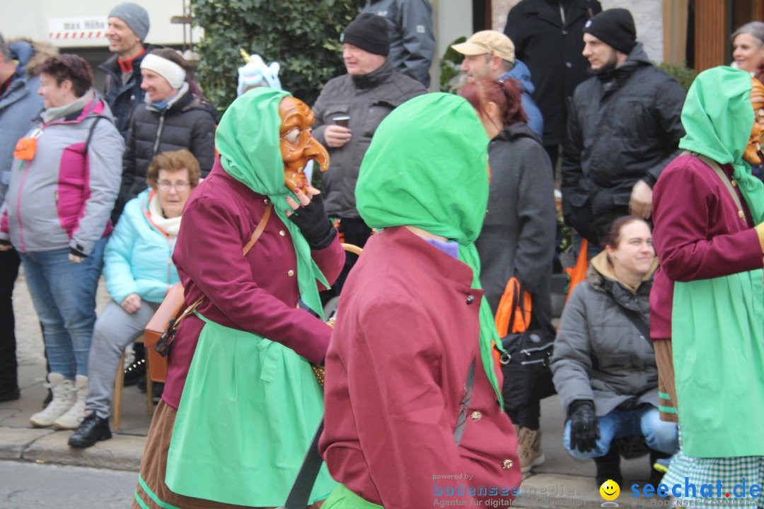 Fasnetsumzug - Schwyz am Bodensee, 29.01.2023