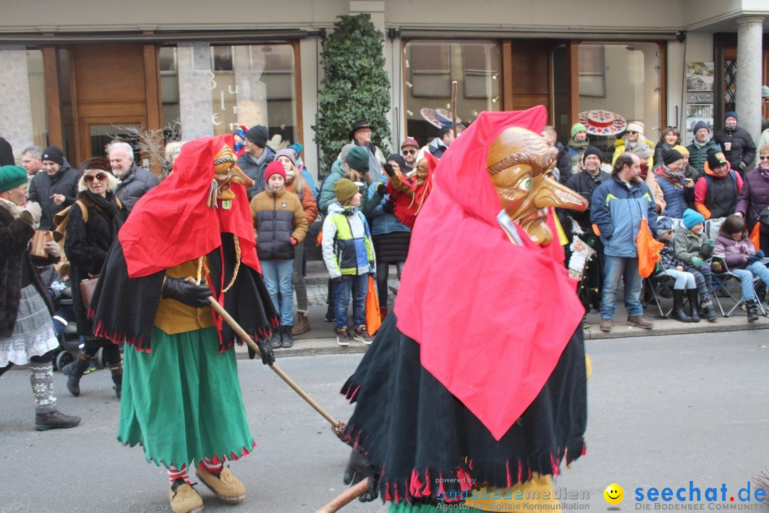 Fasnetsumzug - Schwyz am Bodensee, 29.01.2023