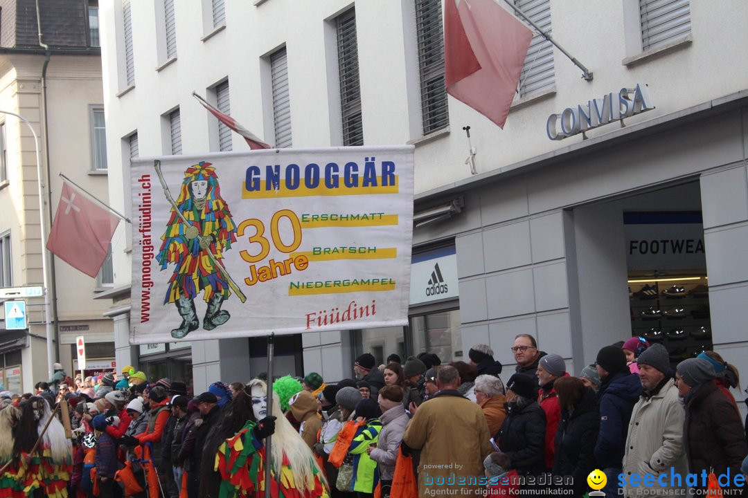 Fasnetsumzug - Schwyz am Bodensee, 29.01.2023